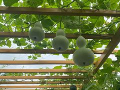 -中国天府农业博览园