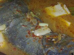 砂锅弓鱼-苍洱春饭店