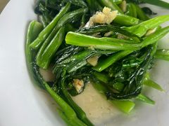 -锦龙美食农庄