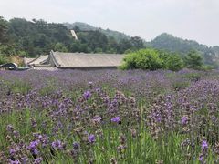 -云峰山自然风景区