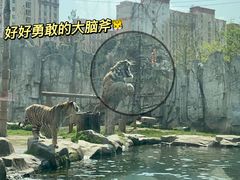 -上海野生动物园