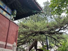 -红螺寺