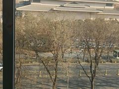 -真爱年华水疗健康运动中心(朱雀大街店)