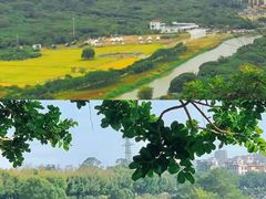 -风云岭森林公园