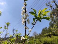 -中国移动南方基地