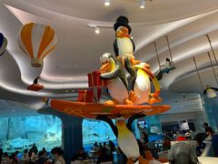 -帝企鹅自助餐厅•儿童岛•真企鹅(长隆企鹅酒店)