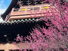 -慧因高丽寺