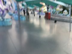 -海合安武汉极地海洋公园