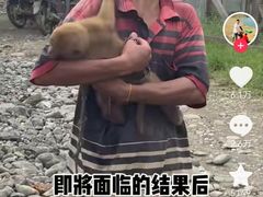 -约翰·菲茨杰拉德·肯尼迪国际机场