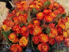 -循礼门鲜花花市(武汉循礼门店)