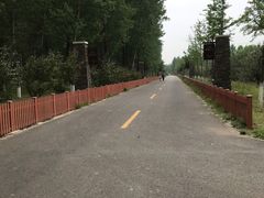 -东郊湿地公园