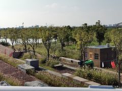 -春花秋色城市公园