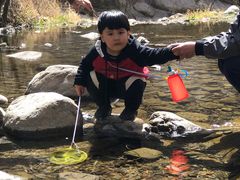 -碓臼峪自然风景区