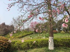 -西安汉城湖景区