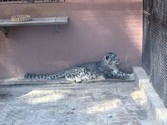 -青藏高原野生动物园
