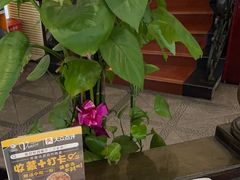 -中山威尼斯西餐厅(三乡总店)