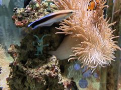 -太平洋海底世界