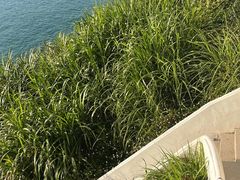 -蜜悦·波西塔诺悬崖海景餐厅