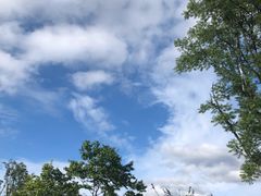 -蜀皇·菌汤鲜黄牛肉汤锅(宽窄巷子店)