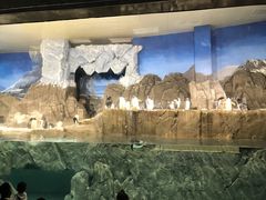 -成都浩海立方海洋公园