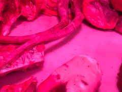 -无锡天鹏食品城