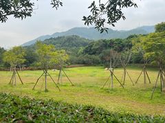 -田心森林公园