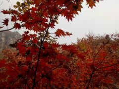 -大连天门山国家森林公园