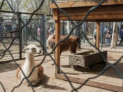 -长白岛森林公园