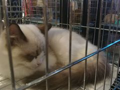 -远洋未来广场(育慧北路店)