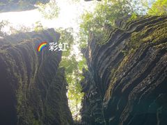 -梭布垭石林景区