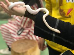 -藦茜花园宠物主题亲子互动体验馆(国顺东路店)