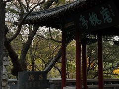 -千佛山风景名胜区