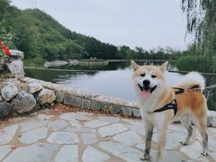 -静之湖度假区