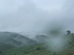 -草原天路(张北县)