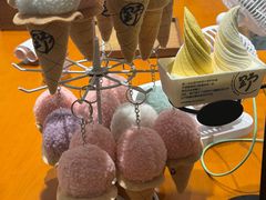 -野人先生现做冰淇淋(北京环宇荟店)