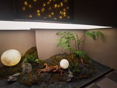 -隅乐胡椒虾·台湾菜·团建(皇岗店)