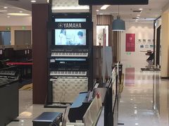 -知音艺术教育培训·钢琴培训·音乐培训(河西金鹰世界校区)