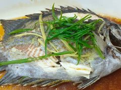 -锐记美食店·现捞海鲜(闸坡店)