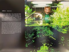 -ADA自然水景世界