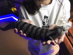 -未来动物城动物主题公园(大悦城店)
