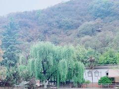 -西游洞风景区
