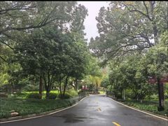 -杭州花家山庄
