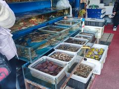 -京深海鲜市场(光彩路店)