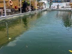 -DGE季风钓虾营地·团建·聚会