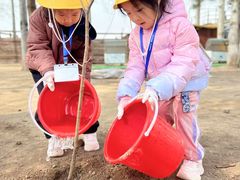 -Thinkfirst幼儿园(CBD双井校区)