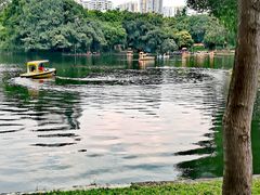-晓港公园