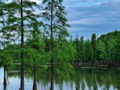 -白鹭湾湿地公园