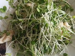 -金家老三饭庄(常营店)