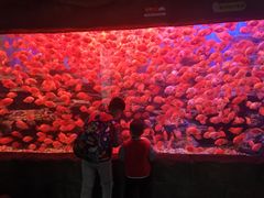 -多彩贵州城极地海洋世界