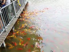 -泰安地下龙宫景区